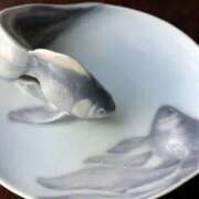 ヒメ日記 2025/08/24 07:18 投稿 よしの 高津角えび