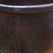 ヒメ日記 2025/09/11 07:08 投稿 よしの 高津角えび