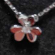 ヒメ日記 2025/09/18 07:08 投稿 よしの 高津角えび