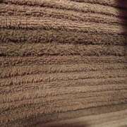 ヒメ日記 2025/12/20 07:58 投稿 よしの 高津角えび