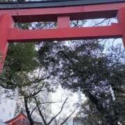 ヒメ日記 2026/01/10 07:45 投稿 よしの 高津角えび