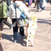 ヒメ日記 2026/03/12 08:48 投稿 よしの 高津角えび