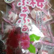 ヒメ日記 2026/04/16 08:08 投稿 よしの 高津角えび