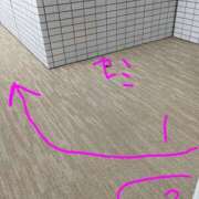 ヒメ日記 2026/08/06 07:58 投稿 よしの 高津角えび