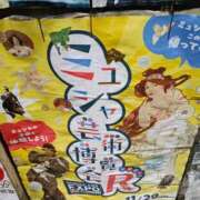 よしの ９月のお礼　１０月の予定 高津角えび