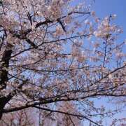 ヒメ日記 2026/03/29 08:38 投稿 くるみ 高津角えび