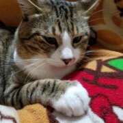 ヒメ日記 2025/09/29 21:18 投稿 愛 高津角えび