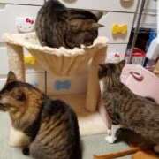 ヒメ日記 2025/12/27 00:58 投稿 愛 高津角えび