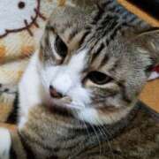 ヒメ日記 2026/02/27 22:48 投稿 愛 高津角えび