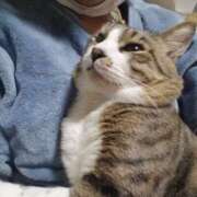 ヒメ日記 2026/03/27 20:58 投稿 愛 高津角えび