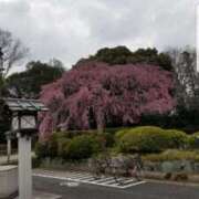 愛 おはようございます 高津角えび