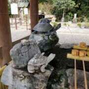 愛 今日は 高津角えび