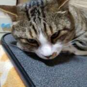 愛 こんばんは🌛 高津角えび