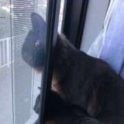 ヒメ日記 2025/06/13 09:28 投稿 なな 高津角えび