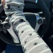 ヒメ日記 2025/06/19 08:18 投稿 なな 高津角えび