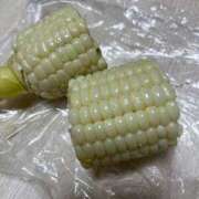 ヒメ日記 2025/06/26 08:18 投稿 なな 高津角えび