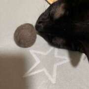 ヒメ日記 2025/07/06 16:48 投稿 なな 高津角えび