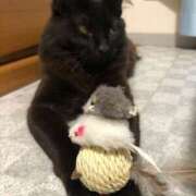 ヒメ日記 2025/07/11 15:38 投稿 なな 高津角えび