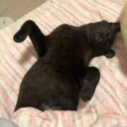 ヒメ日記 2025/08/16 12:38 投稿 なな 高津角えび