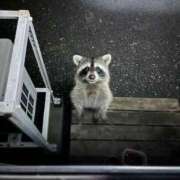 ヒメ日記 2025/09/14 18:28 投稿 なな 高津角えび