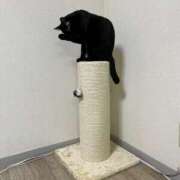 ヒメ日記 2025/09/25 09:08 投稿 なな 高津角えび