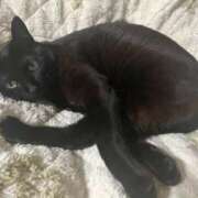 ヒメ日記 2025/10/13 09:18 投稿 なな 高津角えび