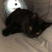 ヒメ日記 2025/11/20 08:28 投稿 なな 高津角えび