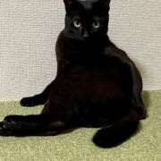 ヒメ日記 2026/01/17 13:38 投稿 なな 高津角えび