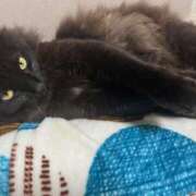 なな 早番の日 高津角えび