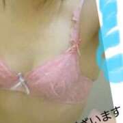 ヒメ日記 2025/06/08 02:38 投稿 ちひろ 高津角えび