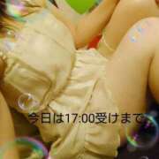 ヒメ日記 2025/06/15 11:58 投稿 ちひろ 高津角えび