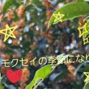 ヒメ日記 2025/10/09 08:18 投稿 ちひろ 高津角えび