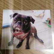 ヒメ日記 2025/11/01 21:28 投稿 ちひろ 高津角えび