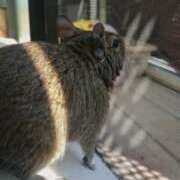 ちひろ 日曜日はご予約ありがとぅございましたぁ～(*´∇｀*) 高津角えび