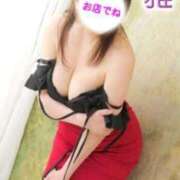 ヒメ日記 2025/09/07 05:28 投稿 雅（みやび） 高津角えび