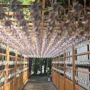 ヒメ日記 2026/05/02 05:58 投稿 雅（みやび） 高津角えび