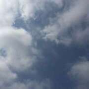 ヒメ日記 2025/07/20 17:48 投稿 あかね 高津角えび