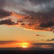 ヒメ日記 2025/08/31 17:23 投稿 あかね 高津角えび