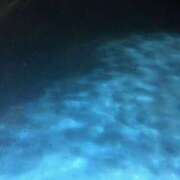 ヒメ日記 2025/09/07 17:18 投稿 あかね 高津角えび