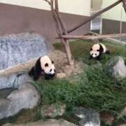 ヒメ日記 2025/10/05 17:18 投稿 あかね 高津角えび