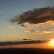 ヒメ日記 2025/11/30 17:18 投稿 あかね 高津角えび