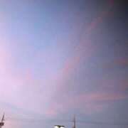 ヒメ日記 2025/12/07 17:18 投稿 あかね 高津角えび