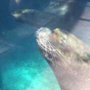 ヒメ日記 2026/02/23 17:18 投稿 あかね 高津角えび