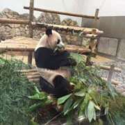 あかね (՞っ ̫ _՞)𓈒𓂂𓏸 高津角えび