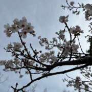 あかね ꒰ᐡ֊  ̫ ֊ᐡ꒱ᶻ𝗓❤︎ 高津角えび