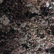 あかね 𑁍𓏸 𓈒𓂃*.·.。゜✿.*･ 高津角えび