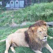 ヒメ日記 2026/04/12 17:18 投稿 あかね 高津角えび