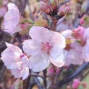 ヒメ日記 2026/03/19 08:44 投稿 ぼたん 奥鉄オクテツ神奈川店（デリヘル市場グループ）