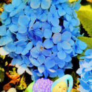 ヒメ日記 2026/06/12 11:48 投稿 ぼたん 奥鉄オクテツ神奈川店（デリヘル市場グループ）
