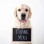 ヒメ日記 2025/03/22 17:45 投稿 ぼたん 奥鉄オクテツ東京店（デリヘル市場）